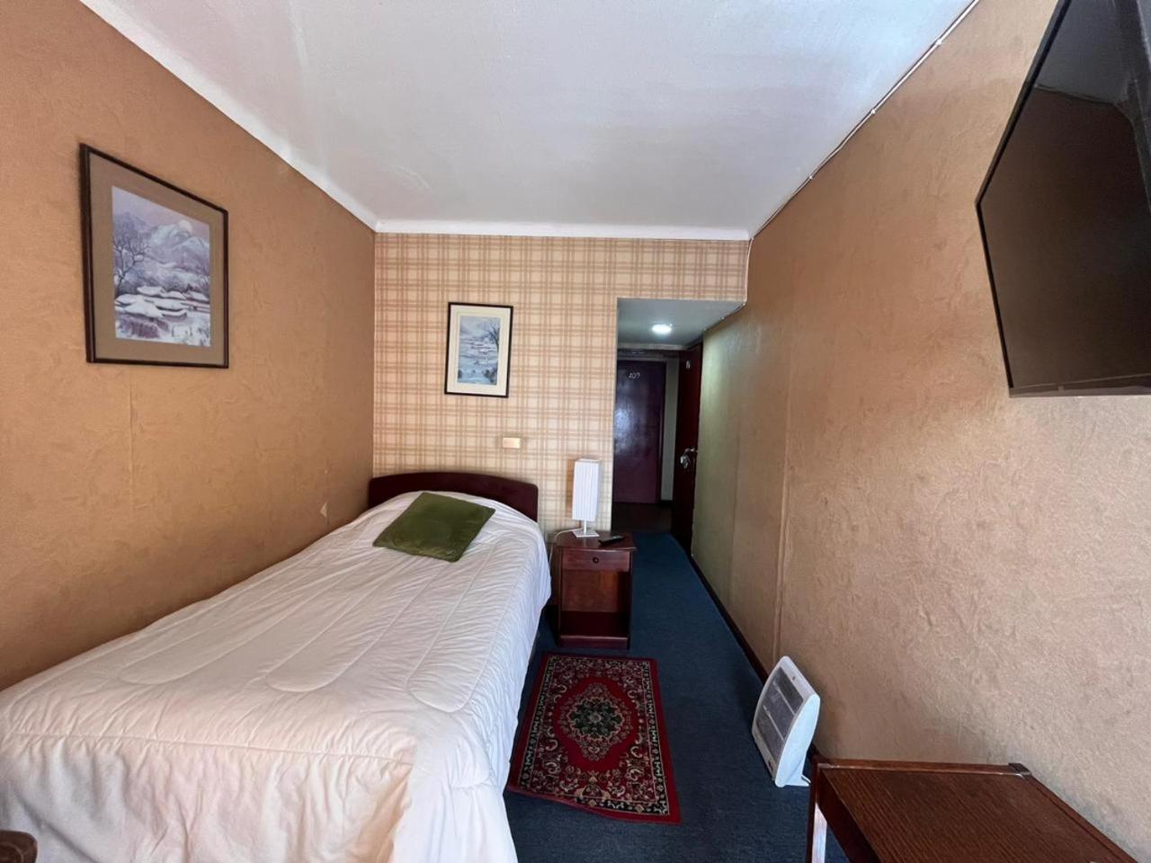 New Hotel Cruz Del Sur Concepción المظهر الخارجي الصورة