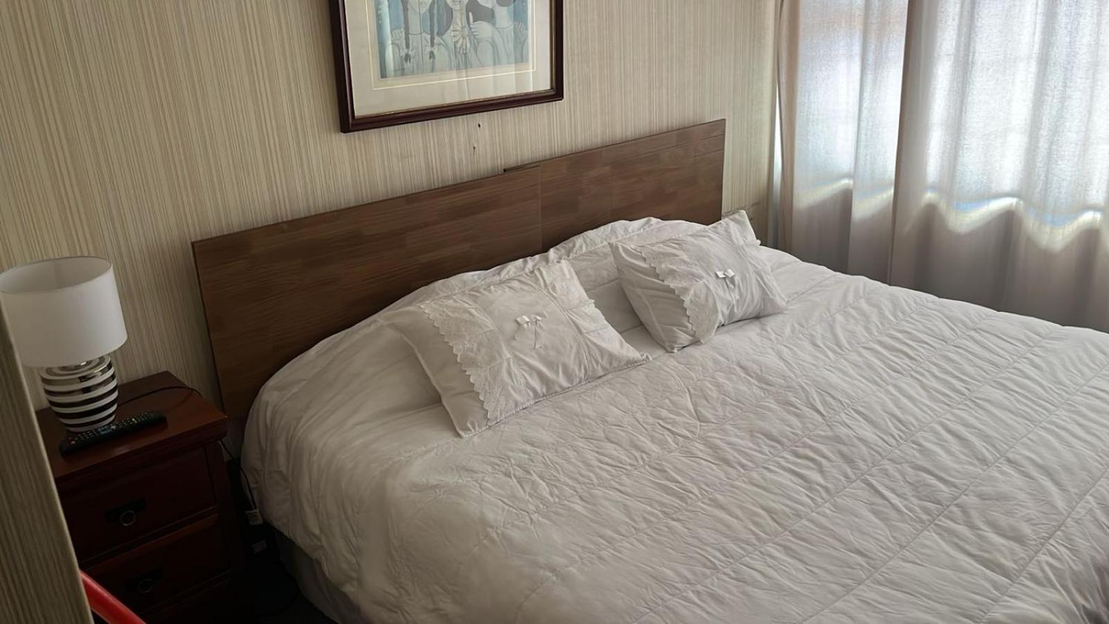 New Hotel Cruz Del Sur Concepción المظهر الخارجي الصورة