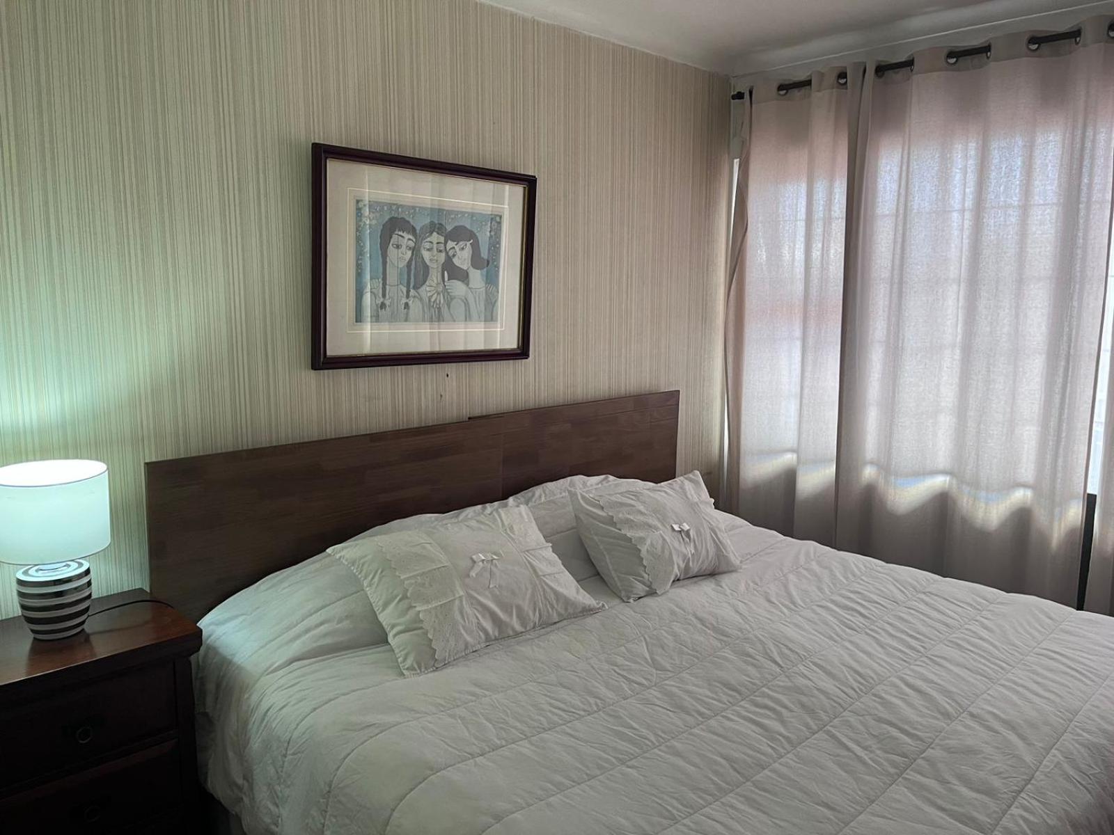 New Hotel Cruz Del Sur Concepción المظهر الخارجي الصورة