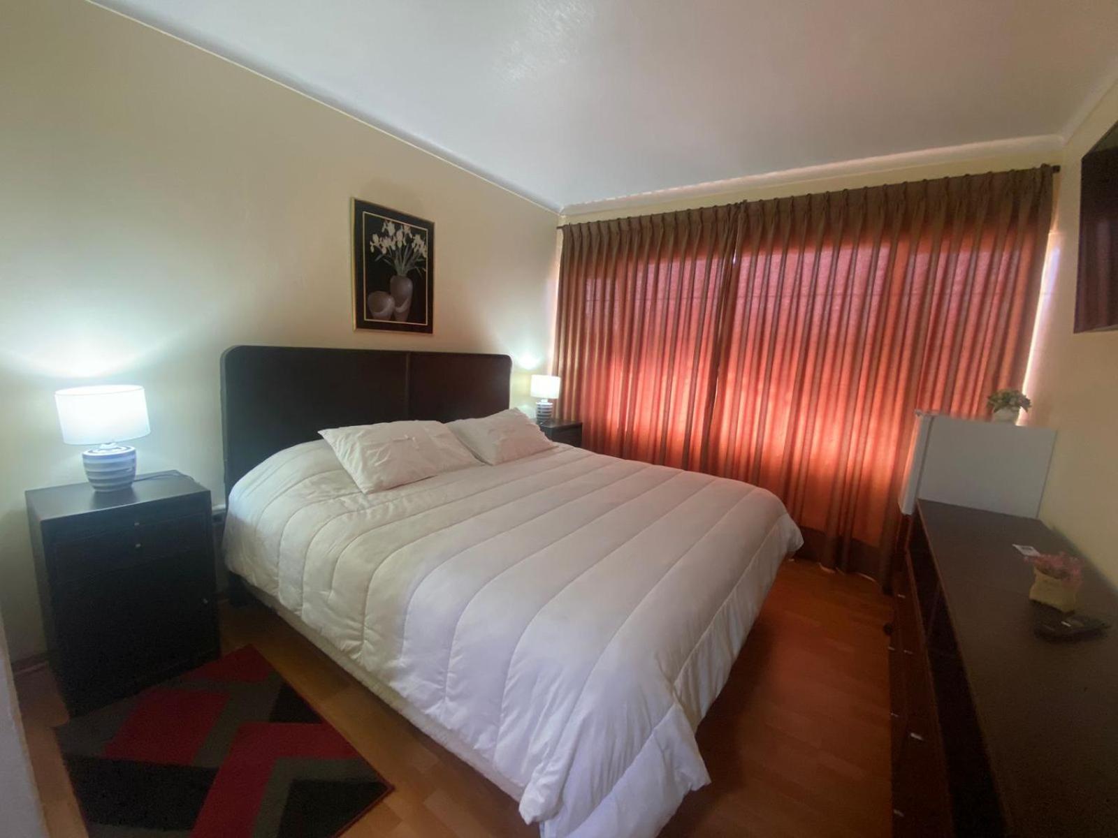 New Hotel Cruz Del Sur Concepción المظهر الخارجي الصورة