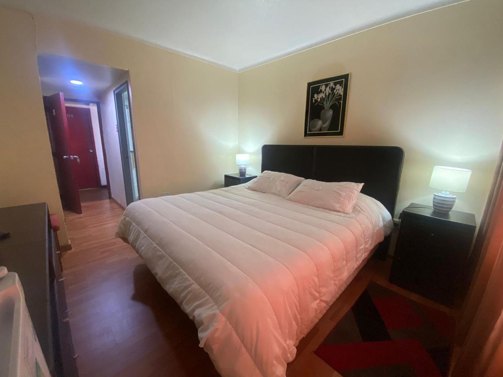 New Hotel Cruz Del Sur Concepción المظهر الخارجي الصورة