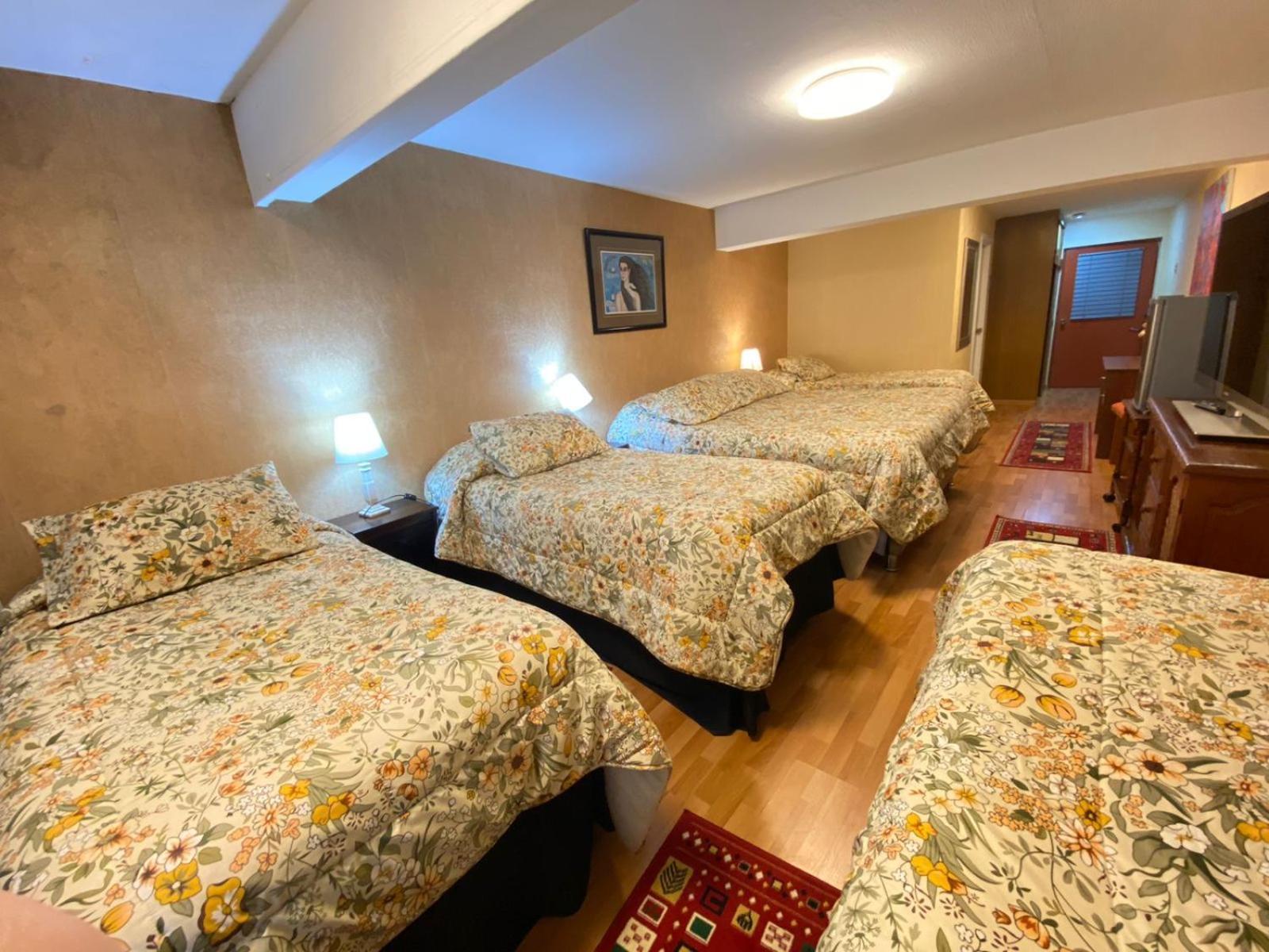 New Hotel Cruz Del Sur Concepción المظهر الخارجي الصورة